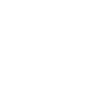 Icon of Sustainability